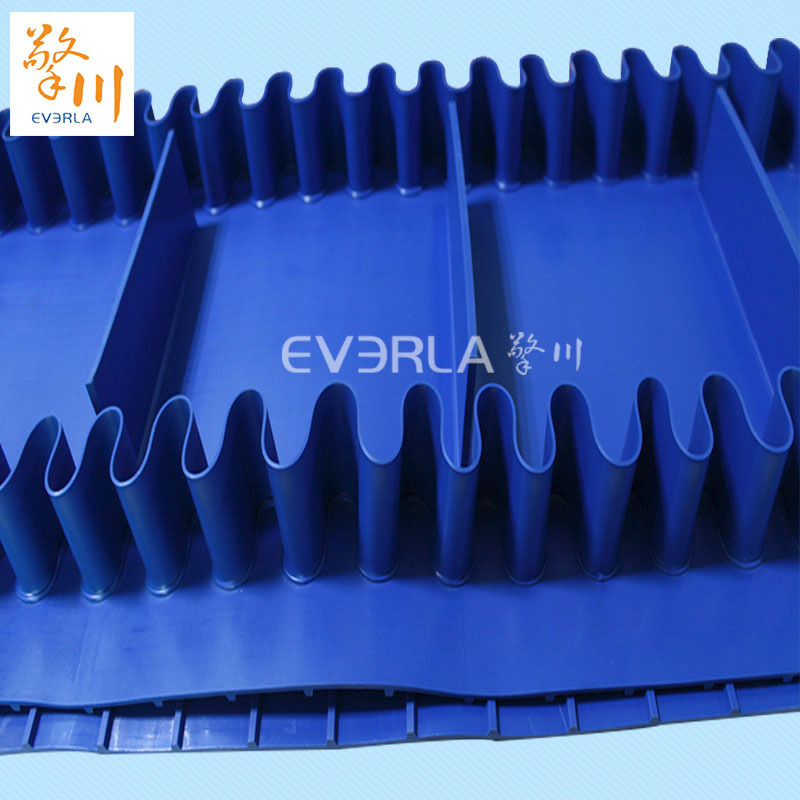 1660641711124687.jpg 易潔帶是如何顛覆傳統(tǒng)輸送帶的